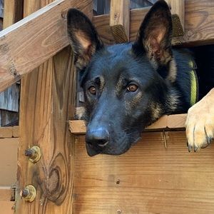 Meet your Posher, Tracy